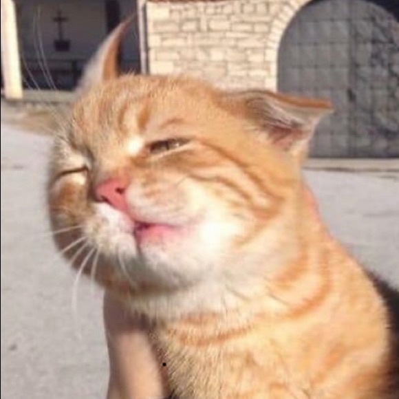 Meet your Posher, Ibe - Picture 1 of 1